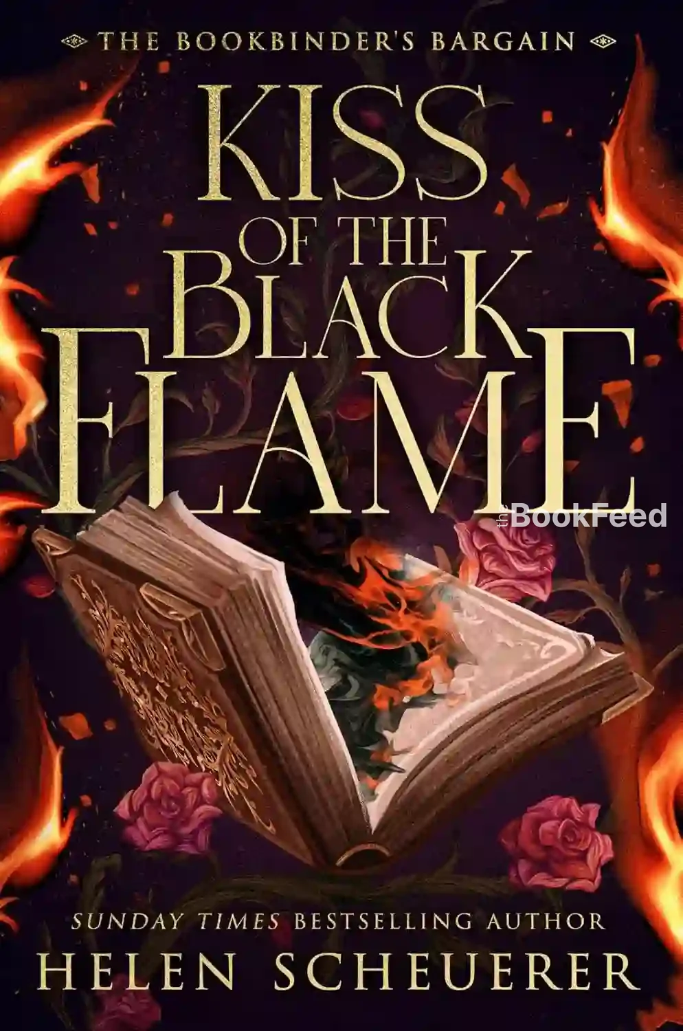 Kiss of the Black Flame Buchcover